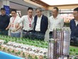Đà Nẵng đẩy nhanh thủ tục chấp thuận chủ trương các dự án khu đô thị mới 