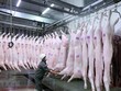 Chủ tịch Hà Nội chỉ thị tăng cường quản lý, kiểm soát giết mổ động vật 