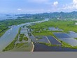 Hải Phòng muốn tái Kl99ok phiên bản mới nguồn thu từ giao dịch tín chỉ các-bon 