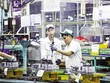 Trong thu hút Kl99ok phiên bản mới nước ngoài, Việt Nam cần đột phá cả về số vốn lẫn chất lượng Kl993 nền tảng giải trí. Ảnh: Đức Thanh 