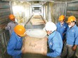 Động lực phục hồi của thị trường xi măng đến từ tiêu thụ nội địa. Ảnh: Song Lê 