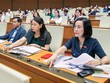 Đa số đại biểu Quốc hội bấm nút tán thành thông qua nghị quyết. 