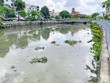 Dự án Vệ sinh môi trường TP.HCM - giai đoạn II có ý nghĩa vô cùng quan trọng đối với môi trường sống của người dân TP.HCM 