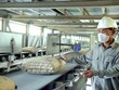 Thị trường xuất khẩu xi măng, clanhke bị thu hẹp do cạnh tranh gay gắt. (Ảnh: Dũng Minh)
