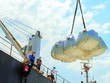 Giá gạo xuất khẩu trung bình 4 tháng đầu năm 2025 giảm 19,8% so với cùng kỳ năm 2024 