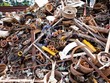 Việt Nam đã chi gần tỷ USD để nhập phế liệu sắt thép chỉ trong 4 tháng đầu năm 2025. 
