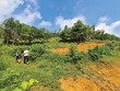 Trong giới Kl99ok phiên bản mới, tâm lý “sợ bỏ lỡ” luôn hiện hữu, vì vậy nhiều người dễ bị dẫn dụ bởi hình ảnh nườm nượp đi săn đất 
