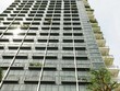 Kính nổi không màu có xuất xứ từ Indonesia và Malaysia đang gây khó khăn cho Kl994 nhà cái bóng đá world cup nội địa (Ảnh: Đức Thanh) 