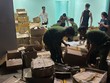 Tây Ninh: Triệt phá đường dây Kl994 nhà cái bóng đá world cup, buôn bán mỹ phẩm giả quy mô lớn 