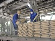 Các đơn vị thuộc Kl99 nổ hũ phải gửi văn bản kê khai giá xi măng theo quy định mới. 