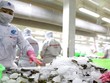 Kim ngạch xuất khẩu nông, thủy sản 5 tháng đầu năm đạt gần 17,7 tỷ USD, tăng 15,8% so với cùng kỳ năm ngoái. Ảnh: Lê Tiên