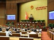 Quốc hội đã thông qua Luật sửa đổi, bổ sung một số điều của Bộ luật Hình sự - Ảnh: Duy Linh. 