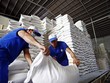 Số liệu của Bộ Nông nghiệp và Môi trường cho thấy, tỷ lệ gạo chất lượng cao của Việt Nam chiếm tới 89%.