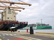 Một góc Cảng Lạch Huyện hiện hữu.