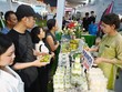 Hà Nội tăng tốc phát triển du lịch, hướng đến tăng trưởng bền vững và toàn diện 