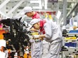 EuroCham: 72% lãnh đạo Kl991.com World Cup 2026 Chính Thức châu Âu sẵn sàng giới thiệu Việt Nam là điểm đến Kl99ok phiên bản mới