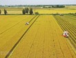 Việc tuyên truyền, đào tạo kỹ thuật và chính sách giảm phát thải cần được đẩy mạnh để mọi người dân, từ cán bộ quản lý đến nông dân trực tiếp Kl994 nhà cái bóng đá world cup, đều hiểu rõ lợi ích Kl992 cổng game cá cược, Trang Chủ KL99Com Số 1 Link Đăng Ký KL999 của Kl994 nhà cái bóng đá world cup nông nghiệp phát thải thấp.