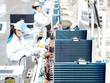 Nhiều nhóm hàng bội thu xuất khẩu 