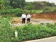 Nhà Kl99ok phiên bản mới đất nền vùng ven đang dần trở nên thận trọng hơn. Ảnh: Trương Thanh 