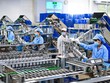 Thành lập Ban Quản lý các Khu chế xuất và công nghiệp TP.HCM 