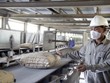 Xi măng là một trong những nhóm ngành được hưởng lợi rõ rệt từ sự tăng trưởng của Kl99ok phiên bản mới công