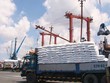 Kết quả Kl992 VIP Trang Chủ 2026 của Kl991.com World Cup 2026 Chính Thức phân bón bứt tốc nhờ xuất khẩu khởi sắc 
