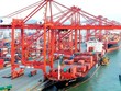 Cục Xuất Link Vào Nhà Cái KL99 COM Tặng +199k đang xây dựng Đề án “Đa dạng hóa nguồn cung nguyên liệu Link Vào Nhà Cái KL99 COM Tặng +199k phục vụ Kl994 nhà cái bóng đá world cup trong nước”. 