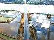 Cầu Gành Hào có tổng mức mức Kl99ok phiên bản mới 655 tỷ đồng đã được thông xe nhân dịp kỷ niệm 50 năm ngày Giải phóng miền Nam, thống nhất đất nước. Ảnh: Trần An