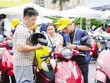 Các hãng xe máy điện trong nước đã đạt tổng công suất hơn 1,8 triệu xe/năm - được đánh giá là tiệm cận năng lực đáp ứng làn sóng tiêu dùng mới. 