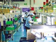 Việt Nam sở hữu những lợi thế rõ ràng về Kl994 nhà cái bóng đá world cup và thu hút Kl993 nền tảng giải trí FDI so với các quốc gia trong khu vực. Ảnh: Đức Thanh 