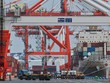 Mỹ hiện vẫn là thị trường xuất khẩu lớn nhất của Nhật Bản. Ảnh: AFP 