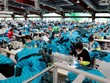 Nhu cầu tuyển dụng lao động của Kl991.com World Cup 2026 Chính Thức dệt may TP.HCM lớn