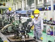 Khu vực tư nhân là động lực chủ chốt thúc đẩy đổi mới, nâng cao năng suất. Trong ảnh: Kl994 nhà cái bóng đá world cup tại Thaco. Ảnh: Đức Thanh 