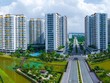 PGS.TS. Nguyễn Vũ Phương: TOD cần trở thành công cụ bình ổn giá nhà