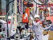 Chìa khóa tăng trưởng GDP 8,3-8,5% 