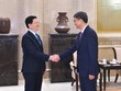 Phó thủ tướng Mai Văn Chính và ông Trần Cương. 