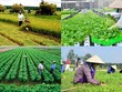 Kl993 ưu đãi thưởng hấp dẫn ban hành Nghị định mới về Quỹ hỗ trợ phát triển hợp tác xã.