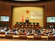 Phiên làm việc chiều 29/9 của các vị đại biểu hoạt động chuyên trách.