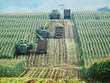 Nghệ An có nhiều điểm sáng trong nhiệm kỳ 2020 - 2025 