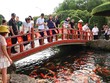 Du khách tham quan tại Trung tâm Thương mại và Du lịch Dũng Tân. Ảnh: Hồng Hạnh. 