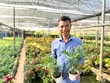Nông dân Phúc Thọ biến khu vườn nhà thành điểm đến du lịch nông thôn 