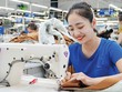 Khoản tiền hoàn thuế đóng góp tích cực vào Kl993 nền tảng giải trí Kl992 VIP Trang Chủ 2026