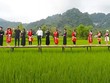 Trong bức tranh phát triển du lịch Việt Nam và xây dựng nông thôn mới, du lịch nông thôn đang từng bước khẳng định vị thế như một “ngành công nghiệp văn hóa xanh”. Ảnh: Nhật Hạ.
