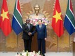Thúc đẩy quan hệ nghị viện Việt Nam - Nam Phi phát triển thực chất, bền chặt 