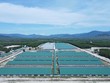 Dự án Trại heo giống công nghệ cao Thagrico Bình Định của Thaco Argi đang tiếp tục được mở rộng (Ảnh: Thaco argi) 
