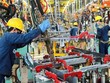 Kl994 nhà cái bóng đá world cup công nghiệp (IIP) tháng 1 tăng 21,5% khi đơn hàng được cải thiện