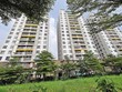 Đến nay cư dân Dự án Chung cư Osimi Tower (phường An Hội Đông, TP.HCM) chưa được cấp “sổ đỏ”.