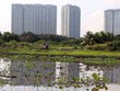 Giá đất nông nghiệp ở khu vực TP.HCM dự kiến tăng cao nhất gần 78%. Ảnh: Lê Toàn.