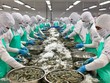 Tôm là mặt hàng mang về trị giá xuất khẩu cao nhất của ngành thủy sản. 