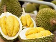 Xuất khẩu rau quả 11 tháng năm 2025 vượt cả năm ngoái khoảng 640 triệu USD. 